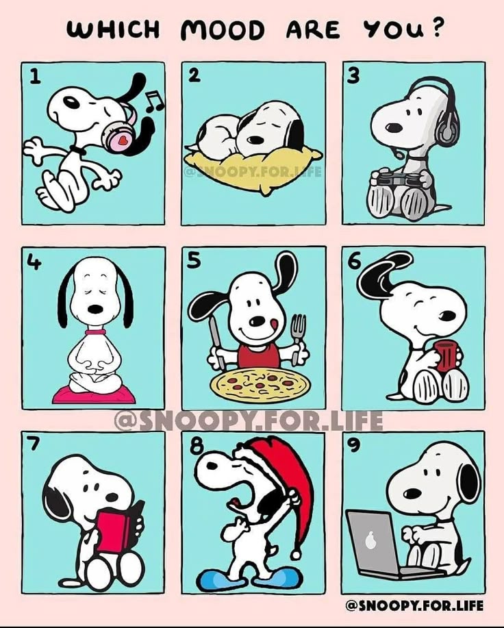 What are the different Snoopy moods (explore all his funny and very relatable feelings today)?