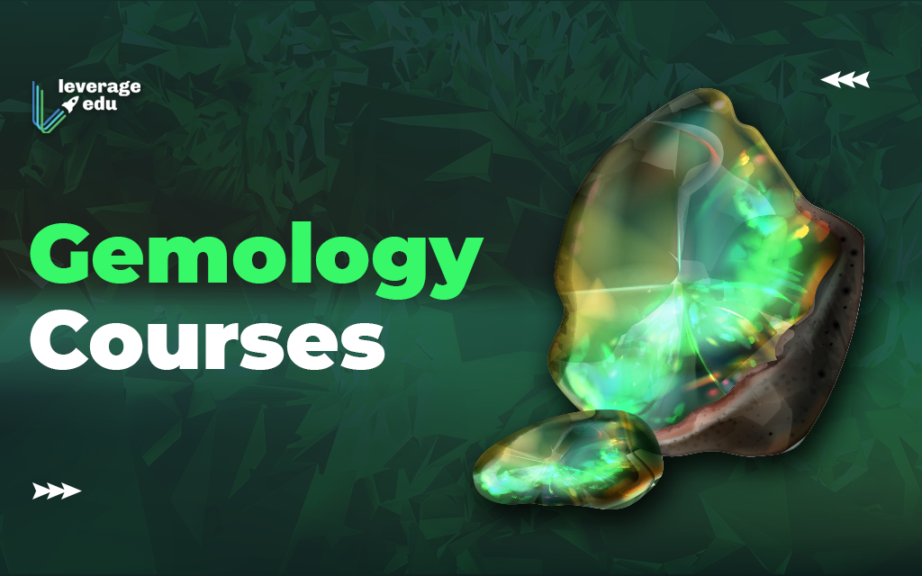 How to choose Gemological Institute of America courses? Find your perfect path to becoming a gem expert!