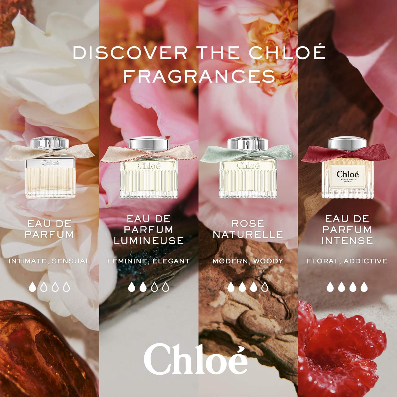 Thinking of buying chloé eau de parfum intense? Heres why its a fantastic fragrance choice.