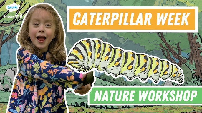 Caterpillar holidays for everyone! Learn easy tips to enjoy these unique nature getaways with your kids!