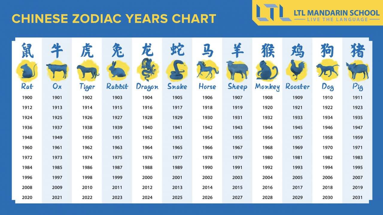 Who are the main figures in the chinese zodiac cast? Meet all the animal signs right now!