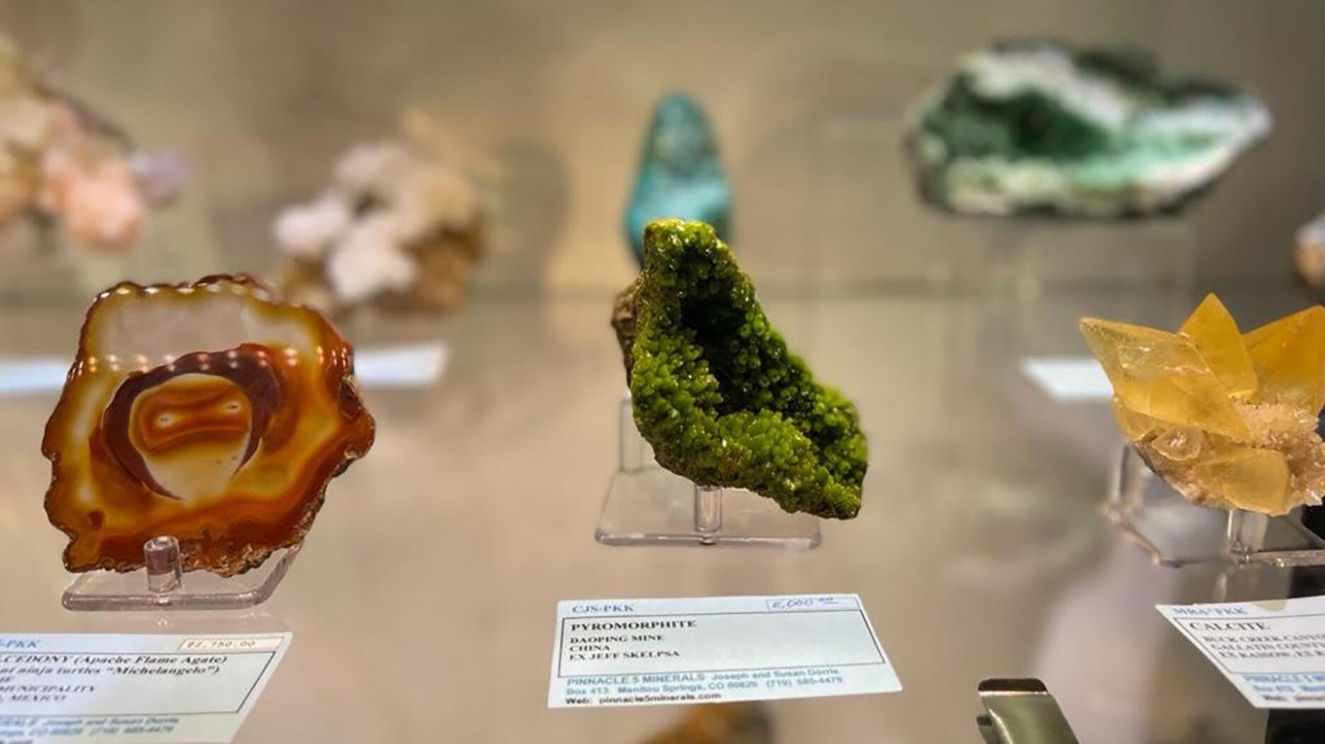 denver rock and mineral show 2024 vs others: why its the biggest event