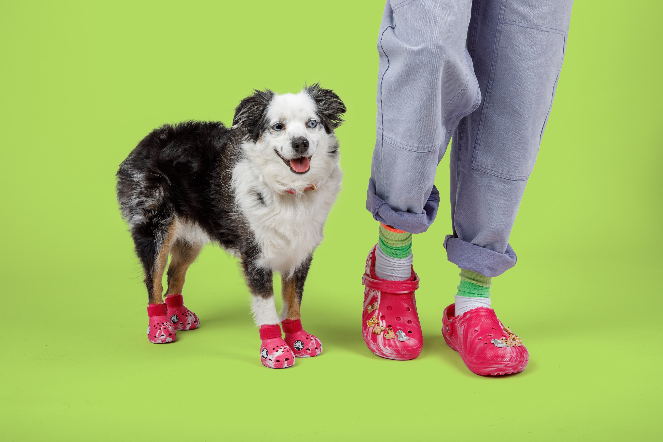 What Are Benefits of Bark Crocs? Know Why Vets Recommend These!