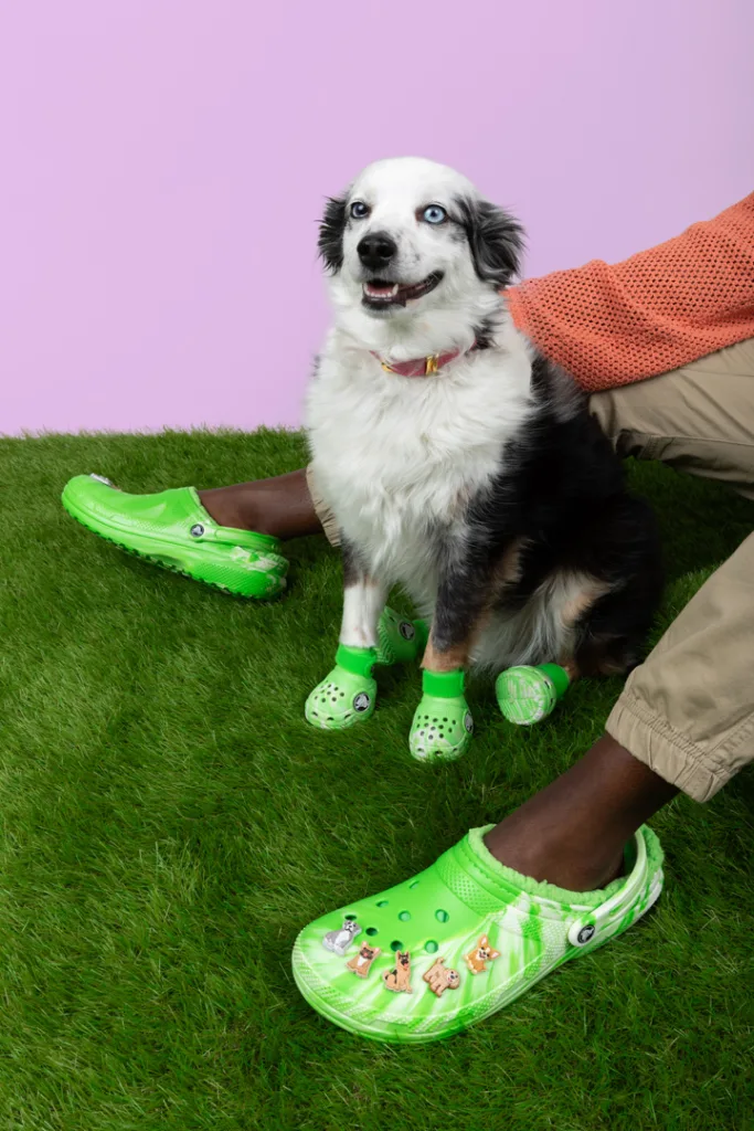 What Are Benefits of Bark Crocs? Know Why Vets Recommend These!