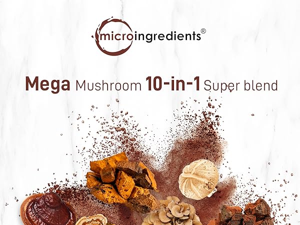 Mega Mushroom Powder Benefits vs Other Supplements? See Real Results
