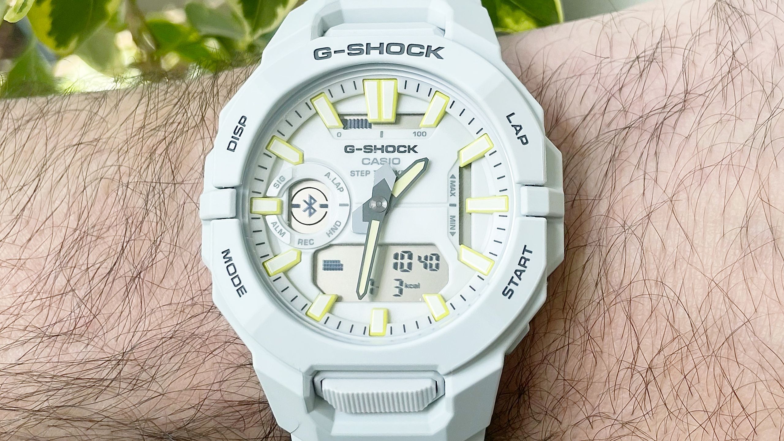White G Shock Watches Care Guide: Keep Them Looking New (Easy Steps!)