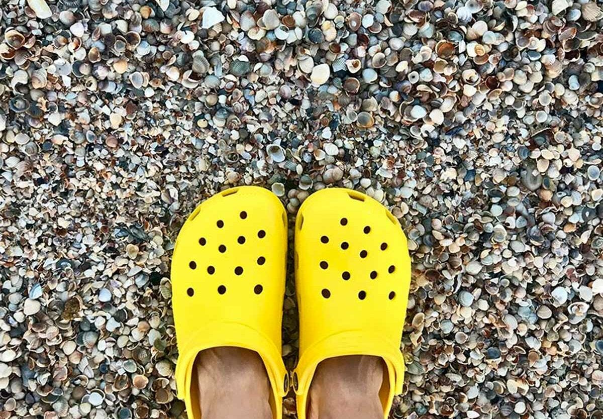 National Croc Day Events Near Me Find Fun Activities You Can Join
